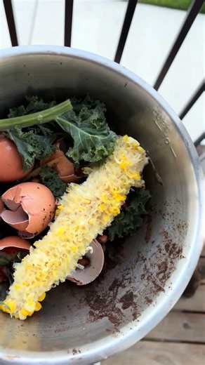 3 Things Going in My Porch Compost Bin Today