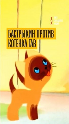 Security forces' madness! Bastrykin ordered an investigation into "Kitten Named Gav"