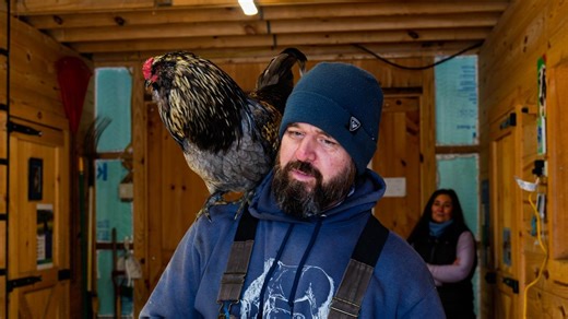 Meet Inigo Montoya: The head riding, kind-hearted rescue rooster