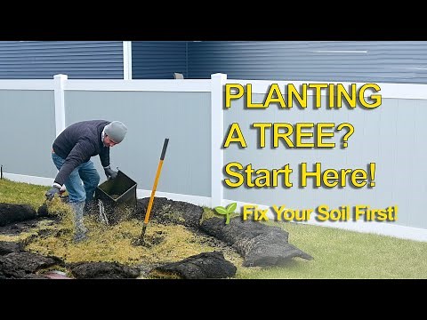 How to Prepare Soil for Planting a Fruit Tree | Backyard Garden Step-by-Step Guide 🌳