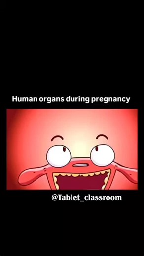 Tablet_classroom on Instagram: "--- ✨ Human Organs During Pregnancy — The Most Extraordinary Transformation of the Human Body ✨ Pregnancy is one of nature’s greatest masterpieces. Inside a mother’s body, an incredible transformation begins — a transformation so precise and powerful that almost every major organ adapts to support the growing life. As the baby develops inside the uterus, the body orchestrates a silent, beautiful rearrangement to create space, deliver nutrients, and protect both mo