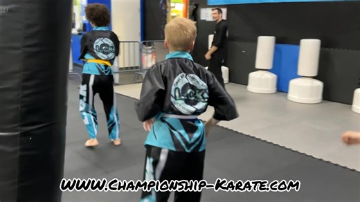 🧠 Benefits of Martial Arts for Kids & Teens Martial arts training isn’t just about physical skills — it offers lifelong personal development: Builds confidence and self-esteem through goal achievement (e.g., belt advancement). Improves discipline and focus, which can help at school and in daily life. Enhances physical fitness: strength, flexibility, coordination, and endurance. Teaches respect, teamwork, and social skills through partner work and dojo etiquette. Provides a positive outlet for e