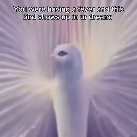 If that bird shows up in my dream i'd be crying to my mom and move on to another house bro 💔 #scary