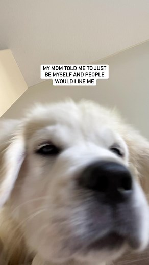 Was she right? 🥰 | Louie the Cream