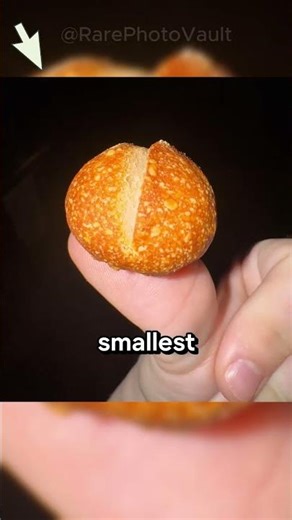 Incredible Rare Photos That Will leave you Completely Mind Blown 🤯