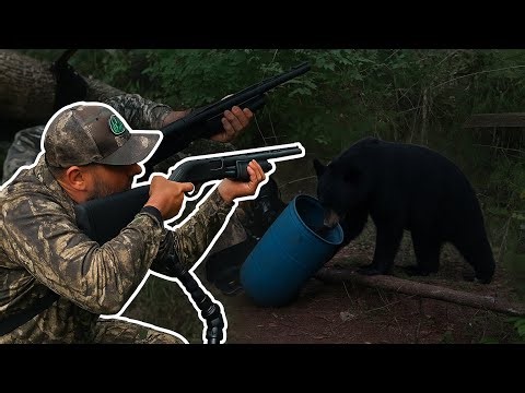 Hunting the Biggest Black Bears in Maine with Shotgun Slugs