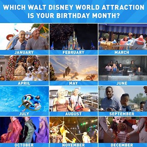 94K views · 533 reactions | Every day is a celebration at Walt Disney...