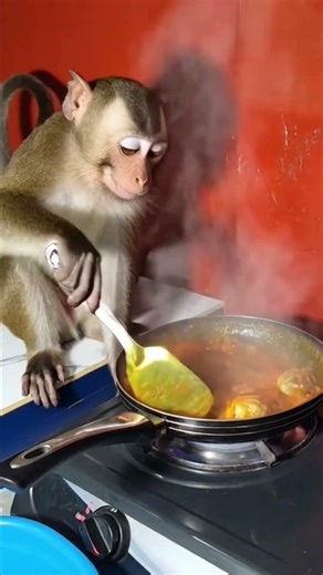 With the help of my Uncle's the cooking was so fast today.