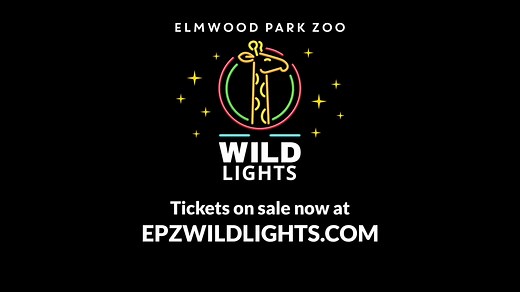 Elmwood Park Zoo's Wild Lights is lighting up your holiday season! Now open select nights through December 30. | Elmwood Park Zoo