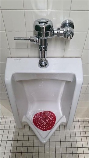 Dick's Sporting Goods men's restroom