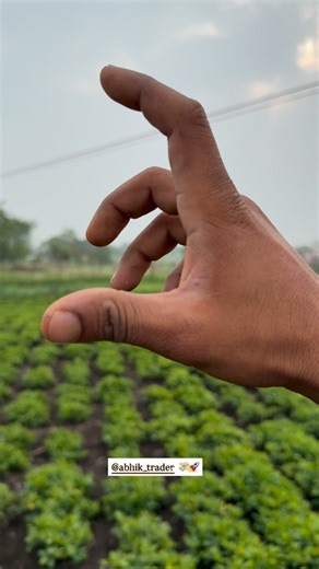 Abhishek S Khandekar on Instagram: "Follow 3 Rules 💸🚀⚡️ #abhiktrader @abhik_trader"