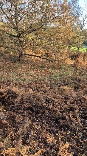 Barry Joyce on Reels