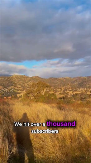 Thankyou my supporters🙏🏼 #gratitude #blessed #motivation #mindset #journey #thankyou