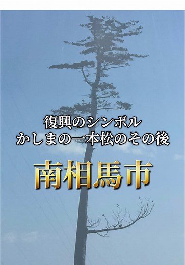 南相馬市の復興のシンボル、かしまの一本松
