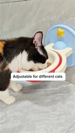 Adjustable cat bowl #cat #bestpetsupplies #cute