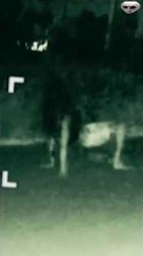 CCTV Captured Mysterious Creatures In Terrifying Footage!