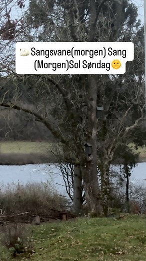 God søndag derude👩‍🌾❤️ | Karin Winther