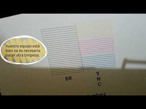 How to fix Epson L6171 printing problems, easy and simple.