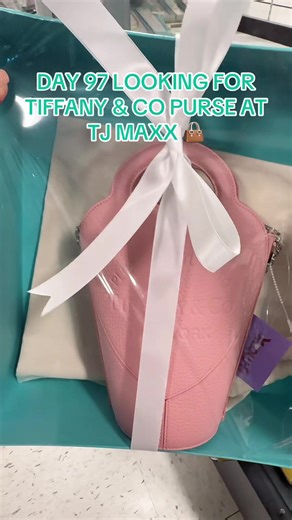 Tiffany & Co. Purse Hunt at TJ Maxx (Day 97)