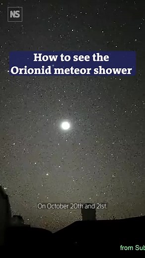 Don't miss the Orionid meteor shower next week 💫 The Orionids meteor shower, peaking on October 21, 2025, is a spectacular celestial event caused by debris from Halley's Comet, offering a chance to see 10 to 20 meteors per hour under ideal conditions. This year the peak of meteor shower coincides with a new moon so it'll be easier to see it streak across the night sky. Tap the link in bio to learn more #meteorshower #skywatch #stargaxzing #orionids #space