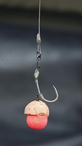142K views · 1.1K reactions | Alex’s Take on the Spinner Rig 類 @alex_shorrock shares his insights on the ever-popular Ronnie Rig—a go-to single hookbait approach for springtime success. #Trakker #TrakkerCarp #TrakkerProducts #TheSharpEnd #CarpFishing #CarpAngling #RonnieRig | Trakker Products | Facebook