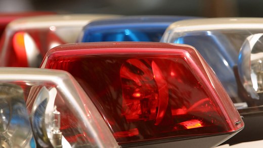 What do the statistics, not the stereotypes, about killings by the police tell us?