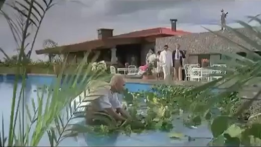 Dailymotion