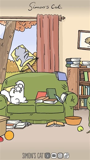 1M views · 40K reactions | Watch this Kitten's wildest Moments! Sit back and enjoy the second part of our Kitten colour compilation: https://www.youtube.com/watch?v=l8AAu-VNIQw  | Simon's Cat | Facebook