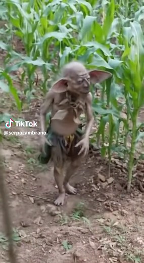 Duendes Reales: Pruebas y Apariciones en Octubre