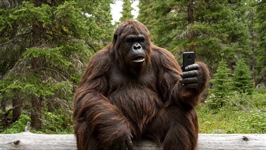 casssandra167 on TikTok