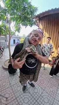 cu chi tunnel python