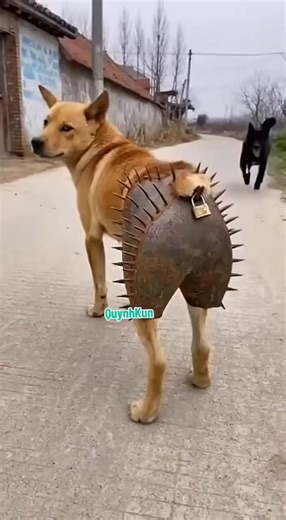 Join the LIVE Incentive Program for Exciting Benefits