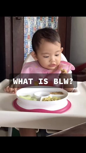 What is BLW? Baby Led Weaning Explained