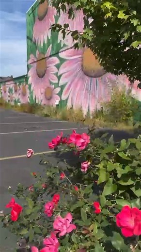 Visit Rensselaer and check out over 50 MURALS by World renowned artists displayed on our downtown buildings!! In 2026 will be celebrating 10 years of murals in the City Of Rensselaer, Indiana. More information will be coming on the plans for next year's Mural Week and Prairie Arts Council Art Camp!! More information can be found on the murals on the Discover Jasper County website: https://discoverjaspercounty.com/jcmuraltour/ | Visit Rensselaer | Indiana