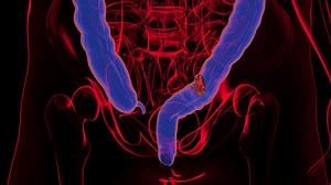 4k Abstract Animation Of Colon Cancer Stock Motion Graphics SBV-348551254 - Storyblocks