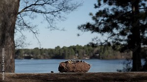 Blue jay makes a nice soft landing at the feeder.