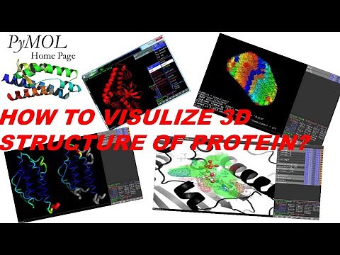 Pymol For Beginners-How to Visualize 3D structure of Protein | Bioinformatic tutorials