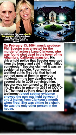 Phil Spector's Driver Said He Walked Out and Said "I Think I Killed Somebody." He Had. #shorts