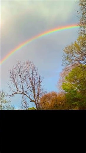 A video demonstration that “rainbows are polarized ” READ DESCRIPTION