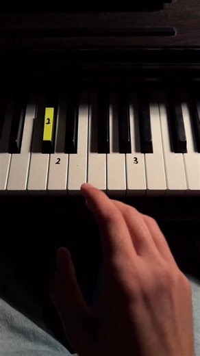 Keys Tutorials on Instagram: "Comment “free” and I’ll send you a free piano lesson :) #piano #pianotutorial #billieilish #pianolessons"