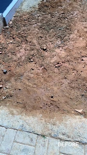 Landscaping Paving Ideas for Home Renovation