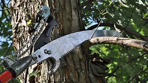 How to Sharpen a Pole Saw Blade | DIY Spotlight