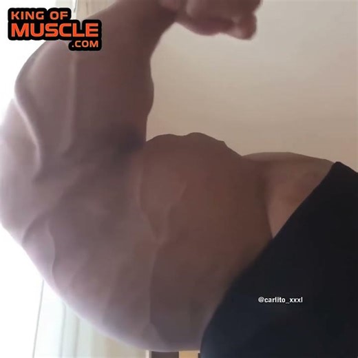 Carlito and his Masive Bicep