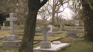 Digger... 1993 Welcome to the movies and television