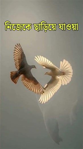 Bangla Motivation: Break Your Own Limits | Become Stronger Than Yesterday