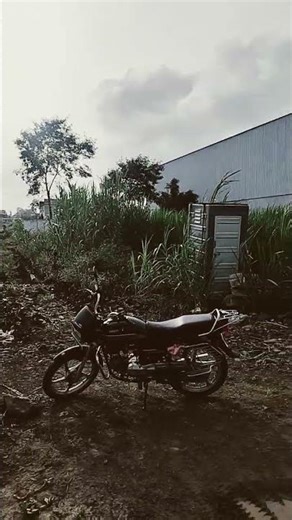 🥀🎉🥀🌺 🌹🌹#song🌺🥀 #bollywood 🥀🎉#bollywoodsongs 🥀🌹#splender#🥀🌹splendorsplendor🌺🥀