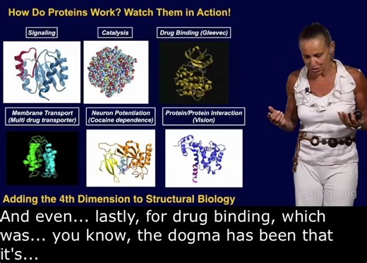 【英文字幕】蛋白质动态的可视化丨曾是职业篮球运动员的科学家