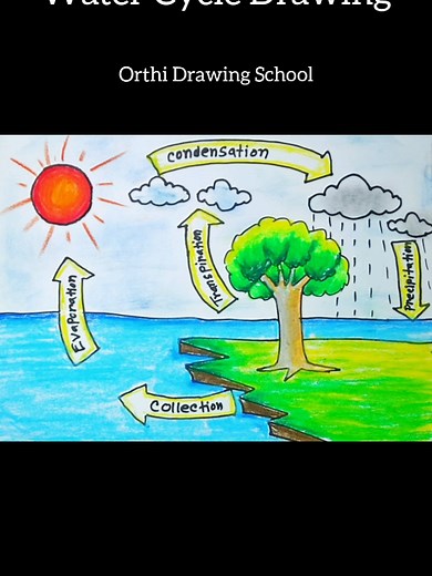 habib_drawing_school on TikTok