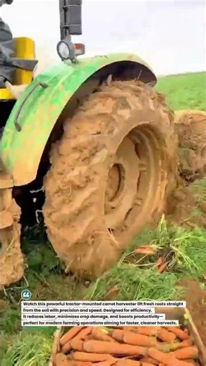 Carrot Harvest Beast 🚜🥕 High-Efficiency Root Crop Digger #Farming #Harvest #AgriTech