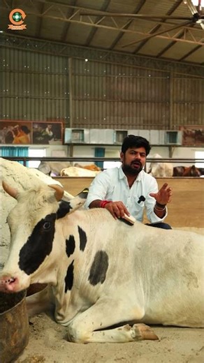 Ek bejubaan maa… jiske pet mein 7 mahine ka bachcha hai… aur wo khud khadi tak nahi ho paa rahi…